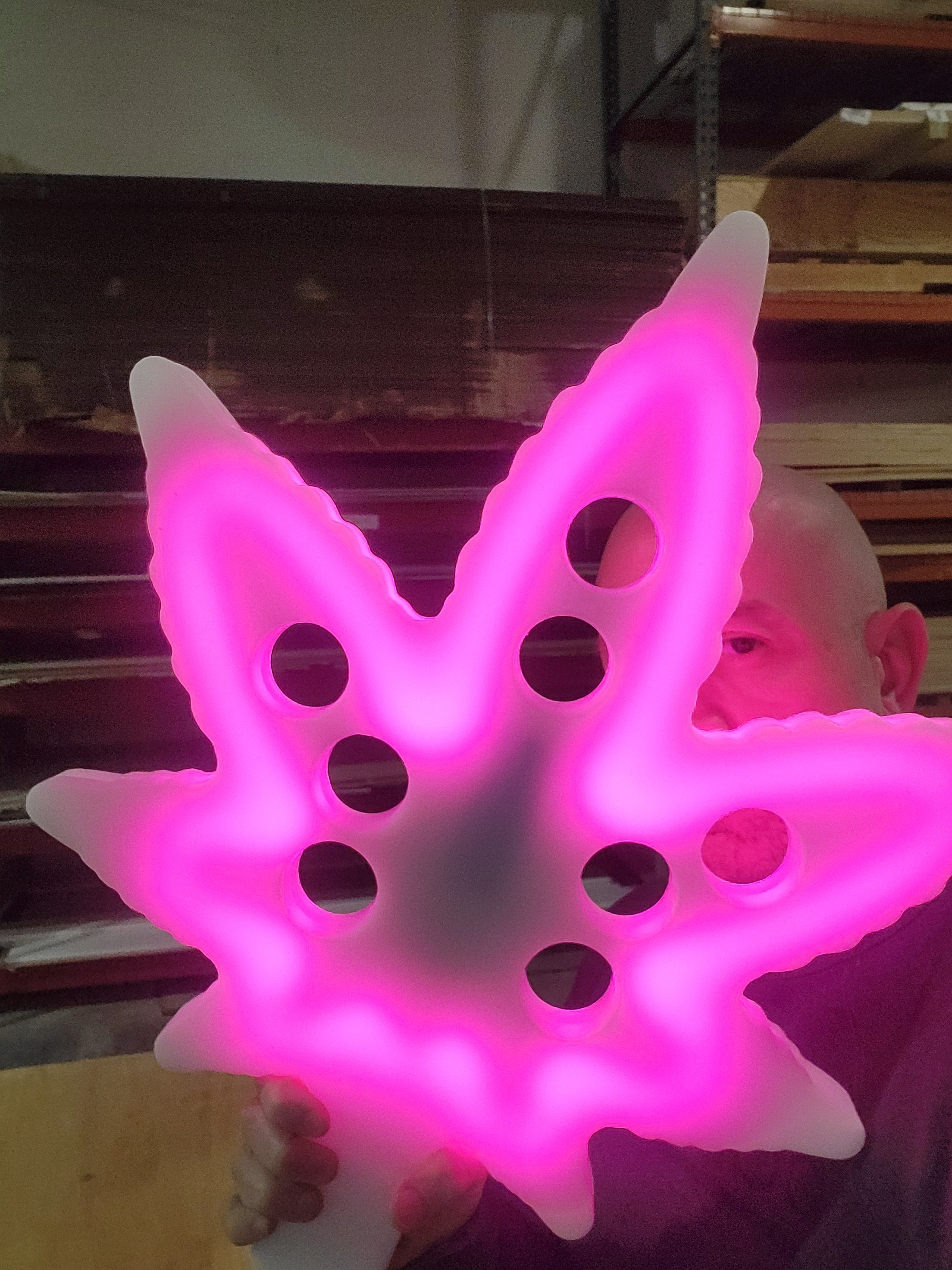 Weed Marijuana Ganja Bud Pot Plant Leaf Tree Trees Devil's Lettuce Reefer Mary J Jay Jane Ganj Shot Shooter Shooters Serving Serve Server Tray Restaurant Bar Event Night Club Nightlife Alcohol Liquor Drink Drinking Drunk Party Smoke Cheef Fun Novelty Pink