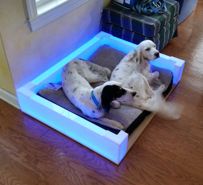 Betty White's LED Light-Up Dog Bed Frames | Custom Size Glowing Dog Bed Frames