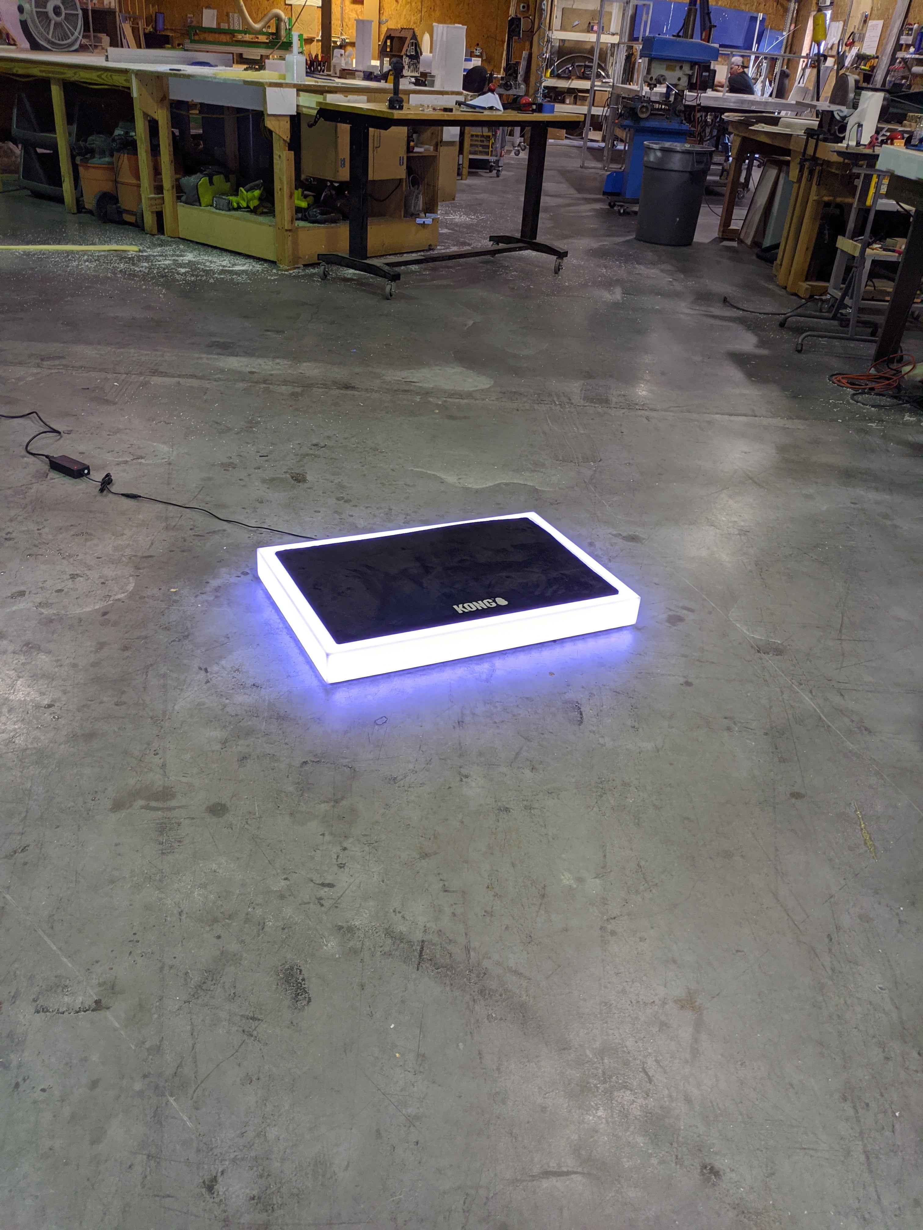 Betty White's LED Light-Up Dog Bed Frames | Custom Size Glowing Dog Bed Frames