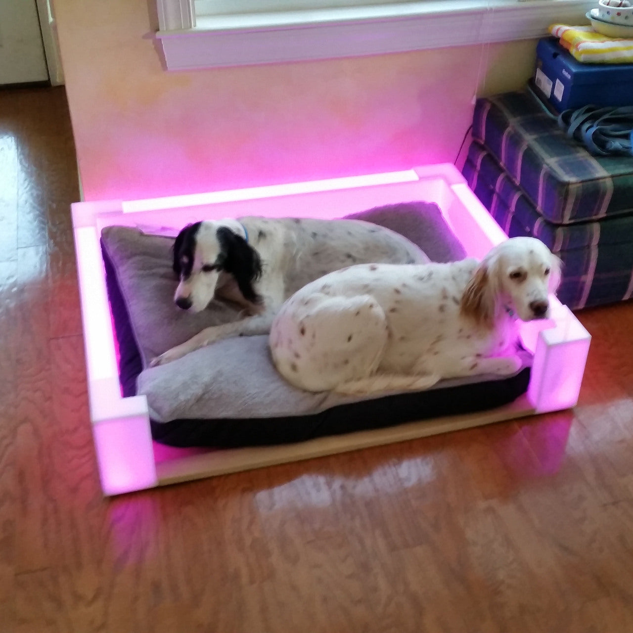 Betty White's LED Light-Up Dog Bed Frames | Custom Size Glowing Dog Bed Frames