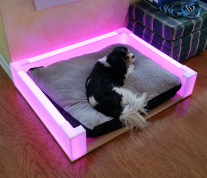 Betty White's LED Light-Up Dog Bed Frames | Custom Size Glowing Dog Bed Frames