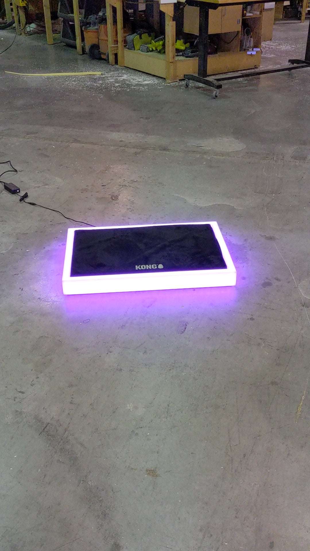 Betty White's LED Light-Up Dog Bed Frames | Custom Size Glowing Dog Bed Frames